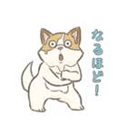 溶けるイヌ（ソイ）（個別スタンプ：13）