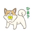 溶けるイヌ（ソイ）（個別スタンプ：14）