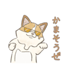 溶けるイヌ（ソイ）（個別スタンプ：17）