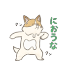 溶けるイヌ（ソイ）（個別スタンプ：19）