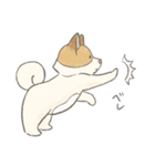 溶けるイヌ（ソイ）（個別スタンプ：25）