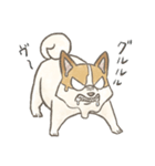 溶けるイヌ（ソイ）（個別スタンプ：26）
