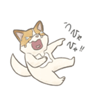 溶けるイヌ（ソイ）（個別スタンプ：36）