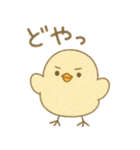 ふわふわひよこの毎日スタンプ（個別スタンプ：1）