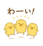 ふわふわひよこの毎日スタンプ（個別スタンプ：3）