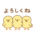ふわふわひよこの毎日スタンプ（個別スタンプ：4）