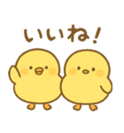 ふわふわひよこの毎日スタンプ（個別スタンプ：9）