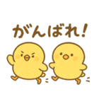 ふわふわひよこの毎日スタンプ（個別スタンプ：10）