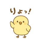 ふわふわひよこの毎日スタンプ（個別スタンプ：15）