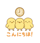 ふわふわひよこの毎日スタンプ（個別スタンプ：16）