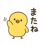 ふわふわひよこの毎日スタンプ（個別スタンプ：20）