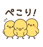 ふわふわひよこの毎日スタンプ（個別スタンプ：21）