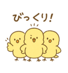 ふわふわひよこの毎日スタンプ（個別スタンプ：23）