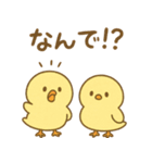 ふわふわひよこの毎日スタンプ（個別スタンプ：24）