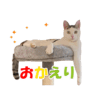 可愛いズーちゃんとビーちゃんのスタンプ（個別スタンプ：2）