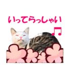 可愛いズーちゃんとビーちゃんのスタンプ（個別スタンプ：5）