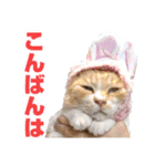可愛いズーちゃんとビーちゃんのスタンプ（個別スタンプ：9）