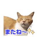 可愛いズーちゃんとビーちゃんのスタンプ（個別スタンプ：10）