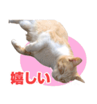 可愛いズーちゃんとビーちゃんのスタンプ（個別スタンプ：13）