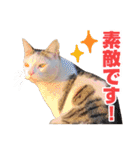 可愛いズーちゃんとビーちゃんのスタンプ（個別スタンプ：14）