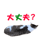 可愛いズーちゃんとビーちゃんのスタンプ（個別スタンプ：17）