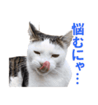 可愛いズーちゃんとビーちゃんのスタンプ（個別スタンプ：19）