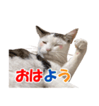 可愛いズーちゃんとビーちゃんのスタンプ（個別スタンプ：26）