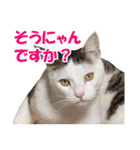 可愛いズーちゃんとビーちゃんのスタンプ（個別スタンプ：27）