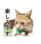 可愛いズーちゃんとビーちゃんのスタンプ（個別スタンプ：34）