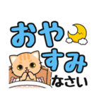 見やすい♪でか文字返信 #ネコナール5（個別スタンプ：12）
