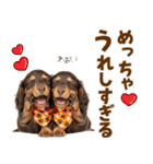 毎日使える！感情豊かなダックス（個別スタンプ：4）