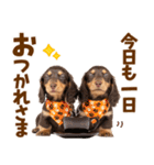 毎日使える！感情豊かなダックス（個別スタンプ：5）