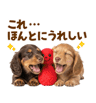 毎日使える！感情豊かなダックス（個別スタンプ：6）