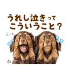 毎日使える！感情豊かなダックス（個別スタンプ：7）