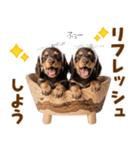 毎日使える！感情豊かなダックス（個別スタンプ：21）