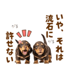 毎日使える！感情豊かなダックス（個別スタンプ：32）