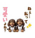 毎日使える！感情豊かなダックス（個別スタンプ：37）