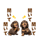 毎日使える！感情豊かなダックス（個別スタンプ：38）