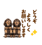 毎日使える！感情豊かなダックス（個別スタンプ：39）