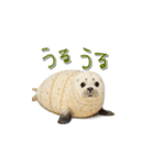 mottoのクールな動物達♡唯一無二（個別スタンプ：13）