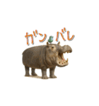 mottoのクールな動物達♡唯一無二（個別スタンプ：16）