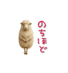 mottoのクールな動物達♡唯一無二（個別スタンプ：22）