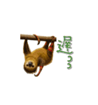 mottoのクールな動物達♡唯一無二（個別スタンプ：23）