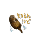 mottoのクールな動物達♡唯一無二（個別スタンプ：25）