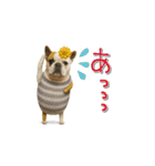 mottoのクールな動物達♡唯一無二（個別スタンプ：26）