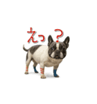 mottoのクールな動物達♡唯一無二（個別スタンプ：28）