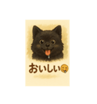 もこちゃん【ポメラニアン】（個別スタンプ：5）