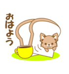 【犬屋】うちの子1番(チワワ)①（個別スタンプ：1）