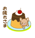 【犬屋】うちの子1番(チワワ)①（個別スタンプ：5）