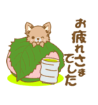 【犬屋】うちの子1番(チワワ)①（個別スタンプ：6）